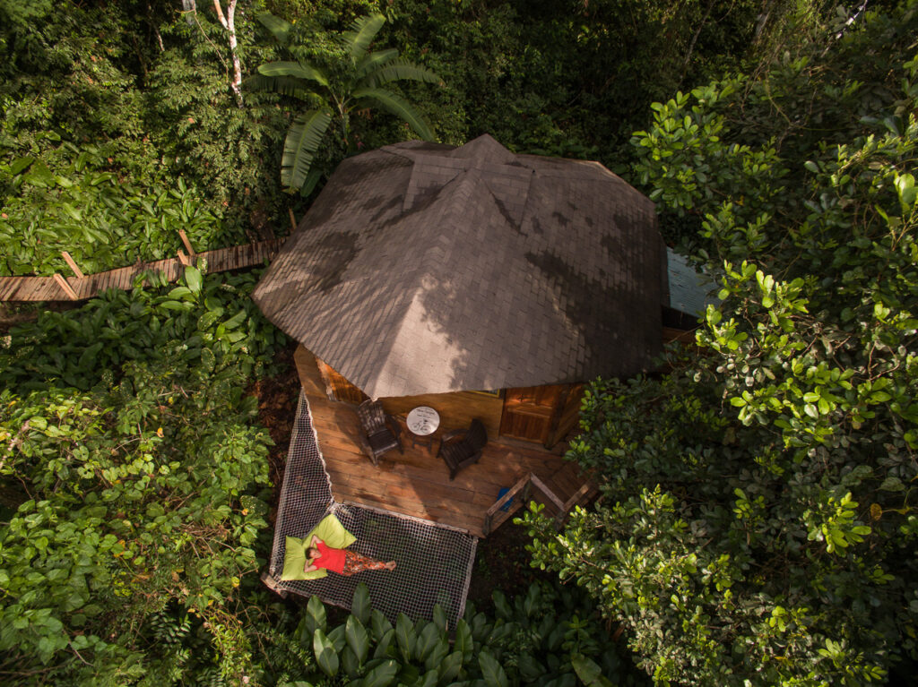 Hut surrounded by green leaves