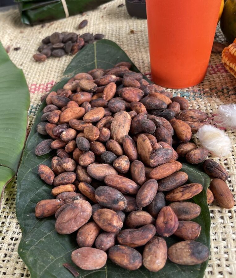 Cacao beans