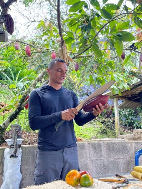 Learn about the cacao process from a local family 